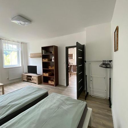 Apartmany U Viaduktu 46 Usti nad Labem Exterior photo