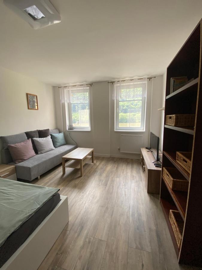Apartmany U Viaduktu 46 Usti nad Labem Exterior photo